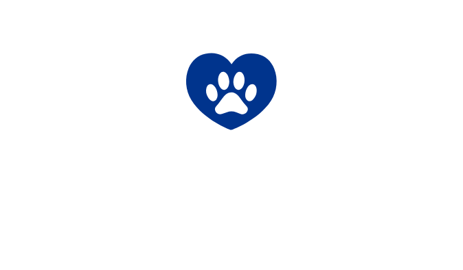 DogWalk PRO